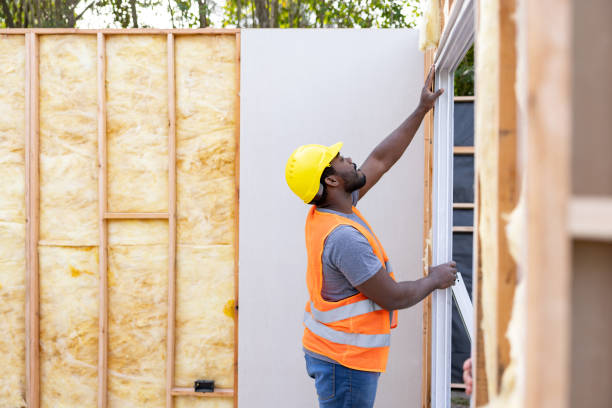 Best Attic Insulation Near Me  in Amboy, IL