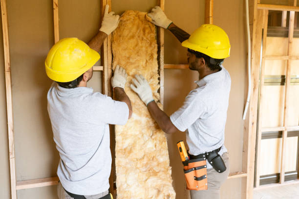 Best Spray Foam Insulation  in Amboy, IL