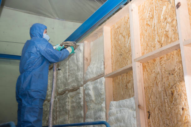 Best Spray Foam Insulation  in Amboy, IL