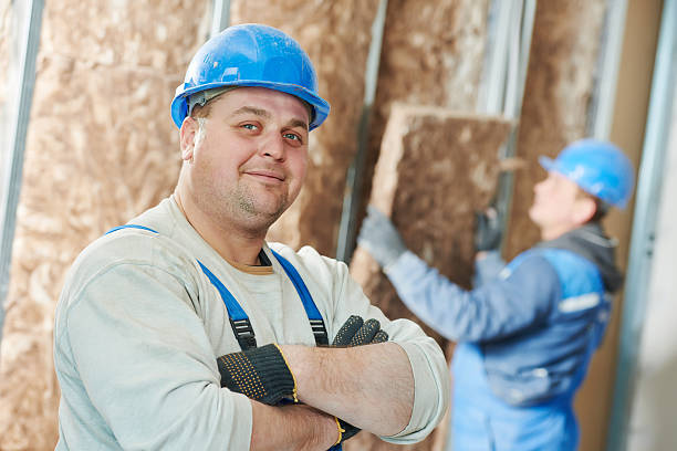 Best Insulation for New Construction  in Amboy, IL